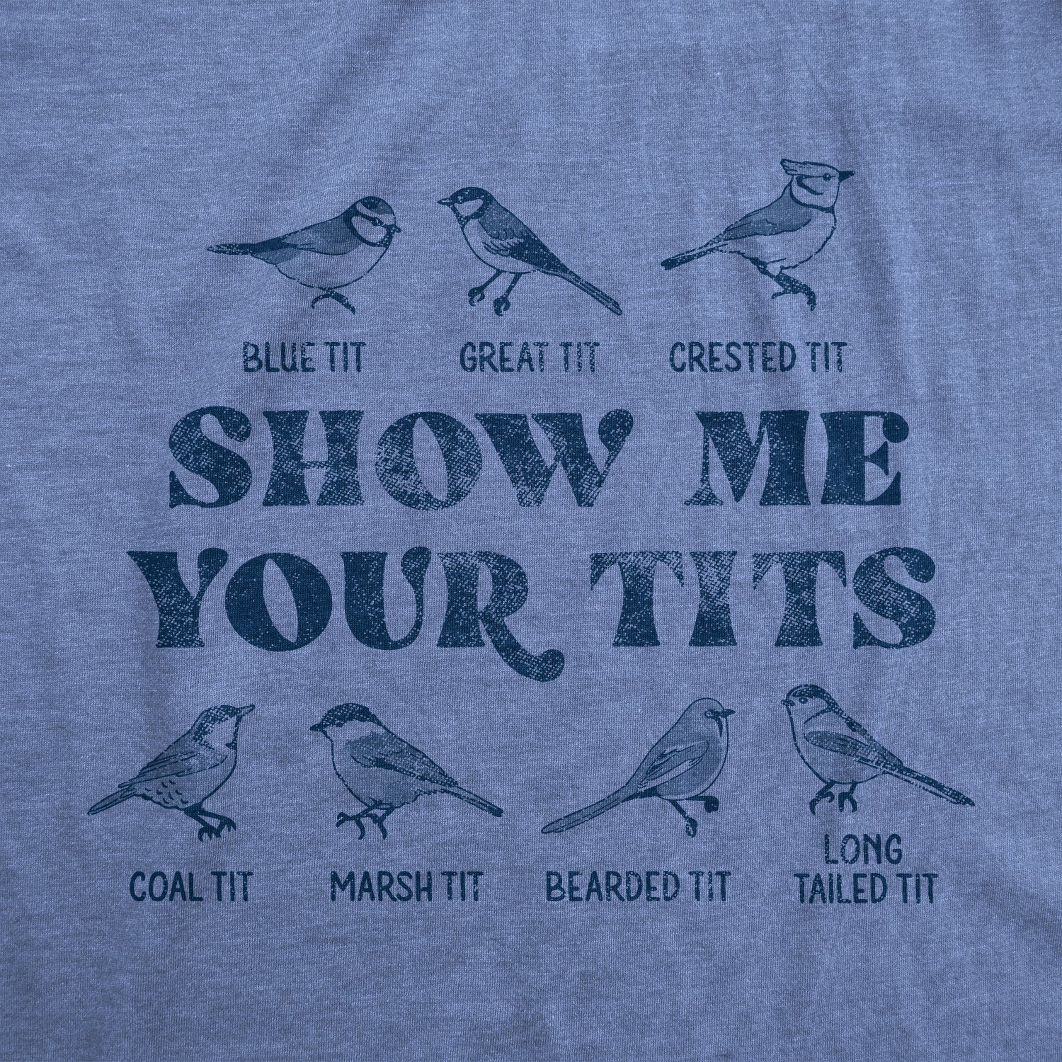 Show Me Your Tits Women's T Shirt