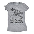 Big Cats Are Dangerous But A Little Pussy Never Hurt Anyone Women's T Shirt