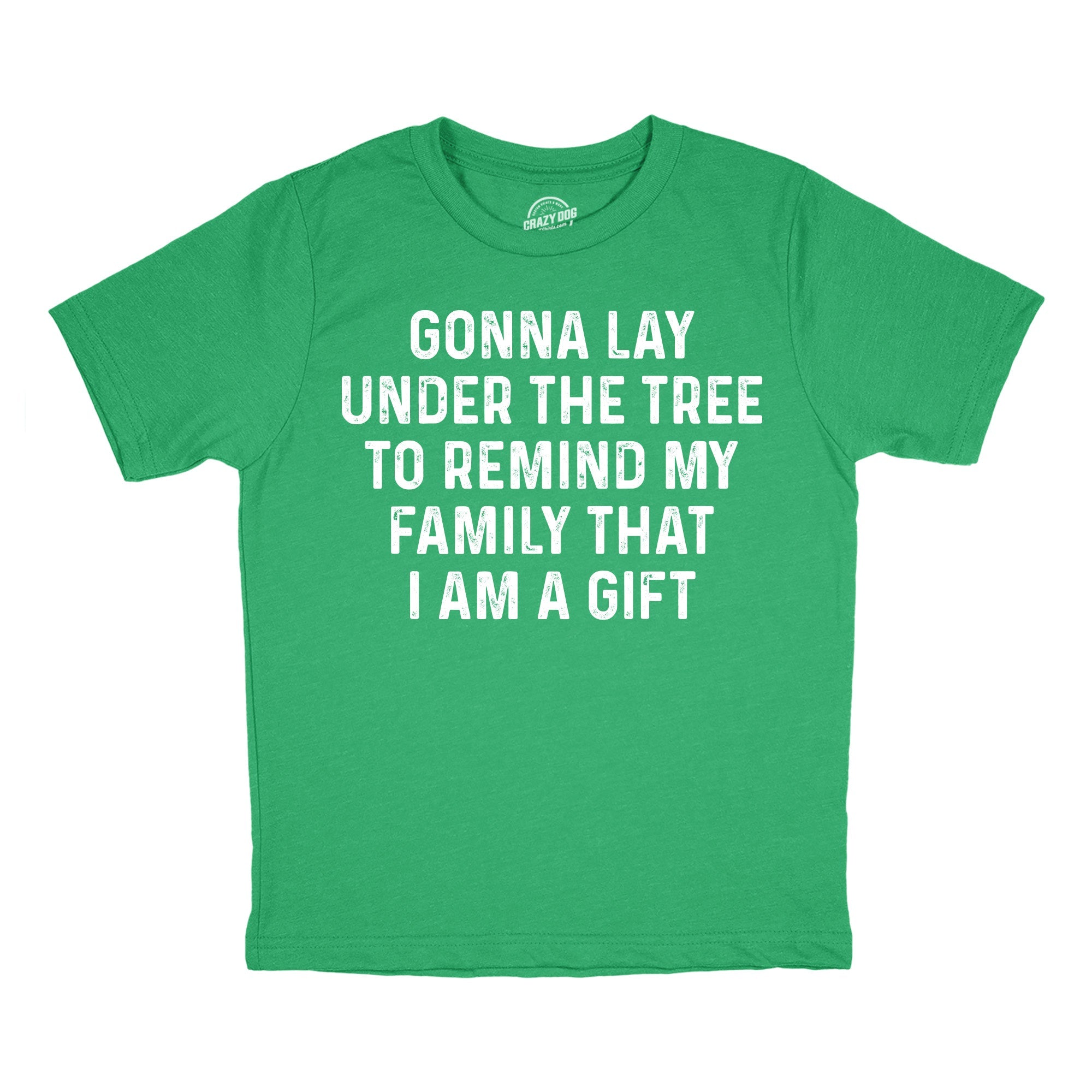 Im Gonna Lay Under The Tree To Remind My Family That I Am A Gift Youth T Shirt