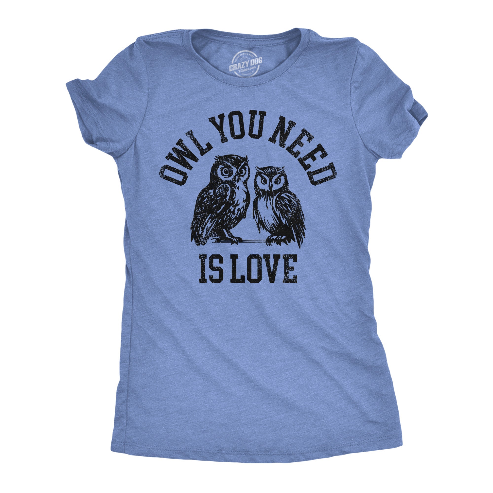 Owl You Need Is Love Women's T Shirt