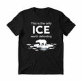 Polar Bear This is the only ICE worth defending 2026 T-Shirt