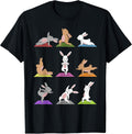 Sporty Animals & Meditating Pets