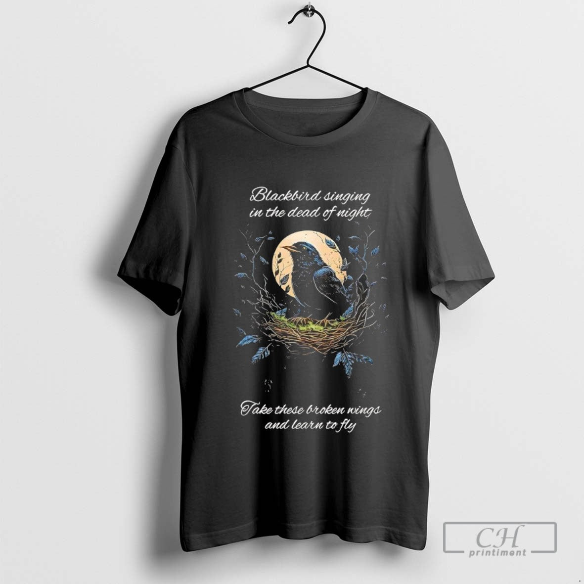 Blackbird Singing In The Dead Of Night Take These Broken Wings And Learn To Fly