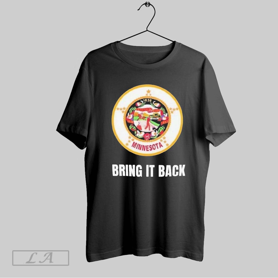 Bring It Back Minnesota State 1858