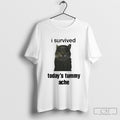 Cat I Survived Todays Tummy Ache Shirt Sweater