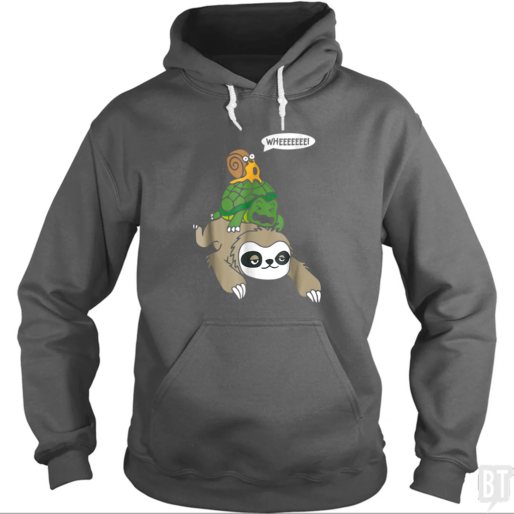 Funny Snail Ridding Turtle Ridding Sloth Hoodie