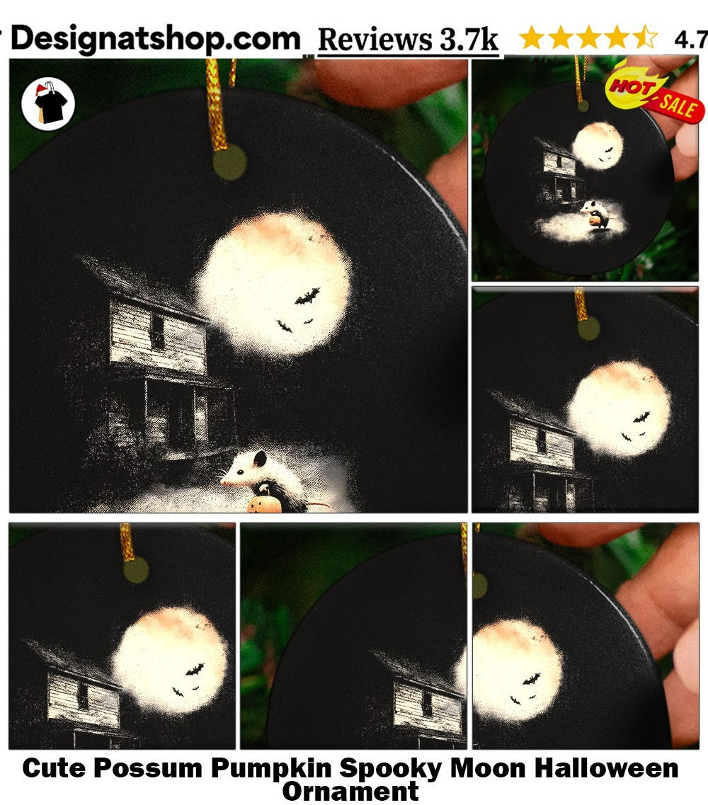 Cute Possum Pumpkin Spooky Moon Halloween shirt