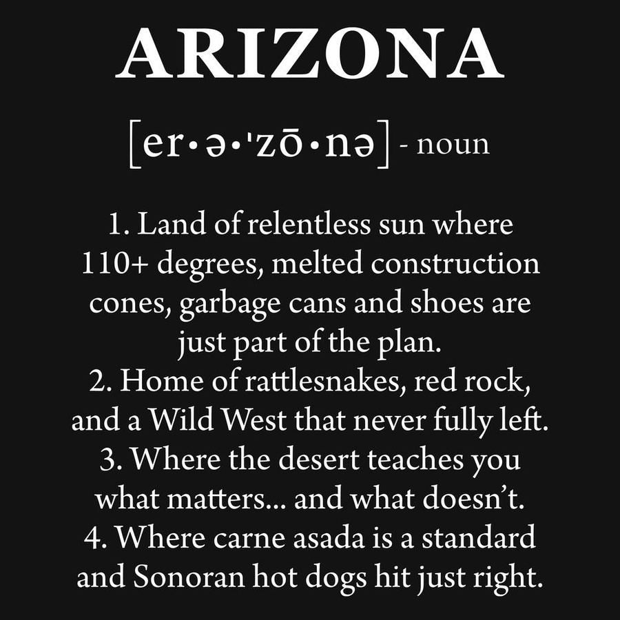 Arizona Defined Hoodie - Black