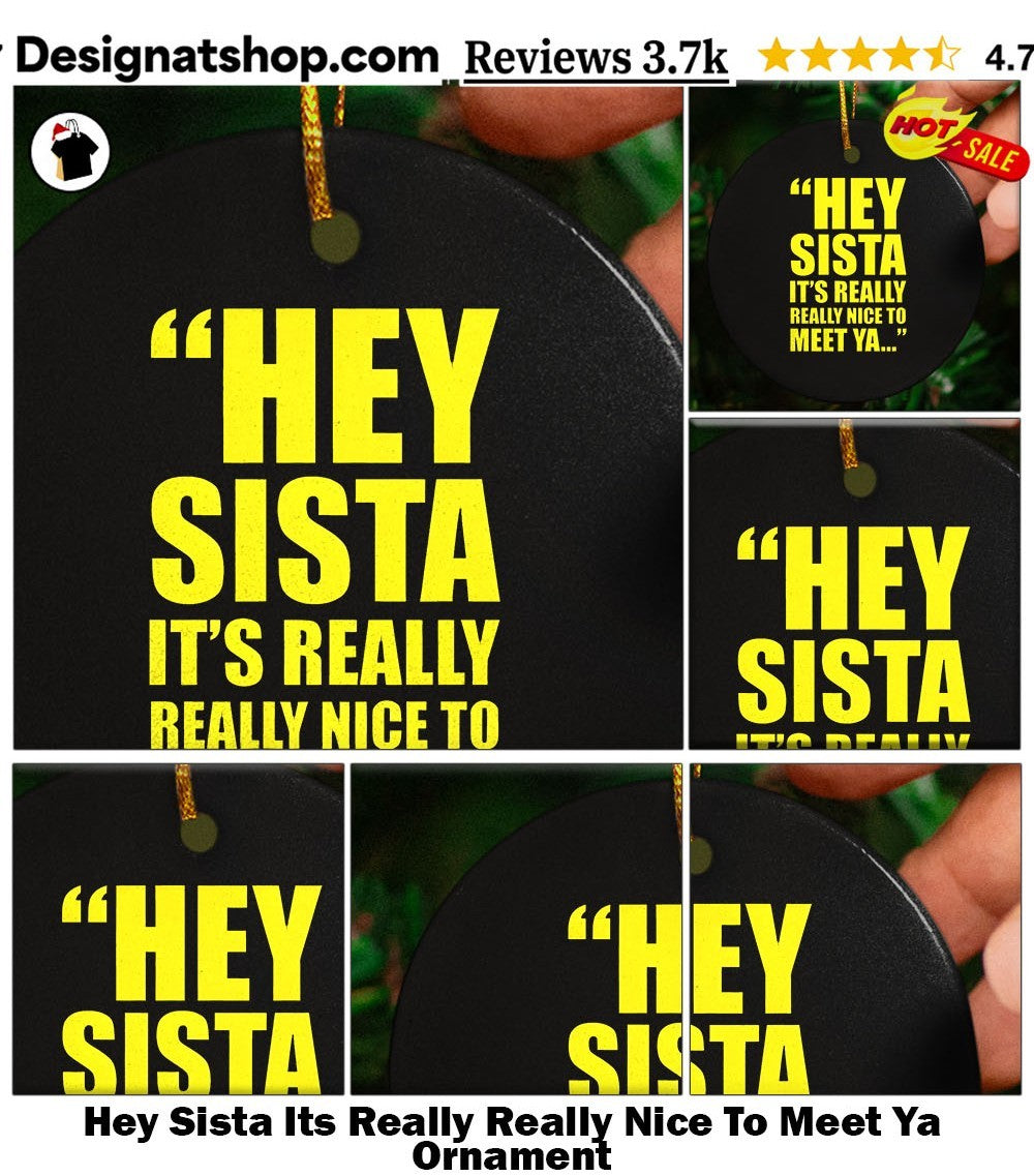 Hey Sista Its Really Really Nice To Meet Ya shirt
