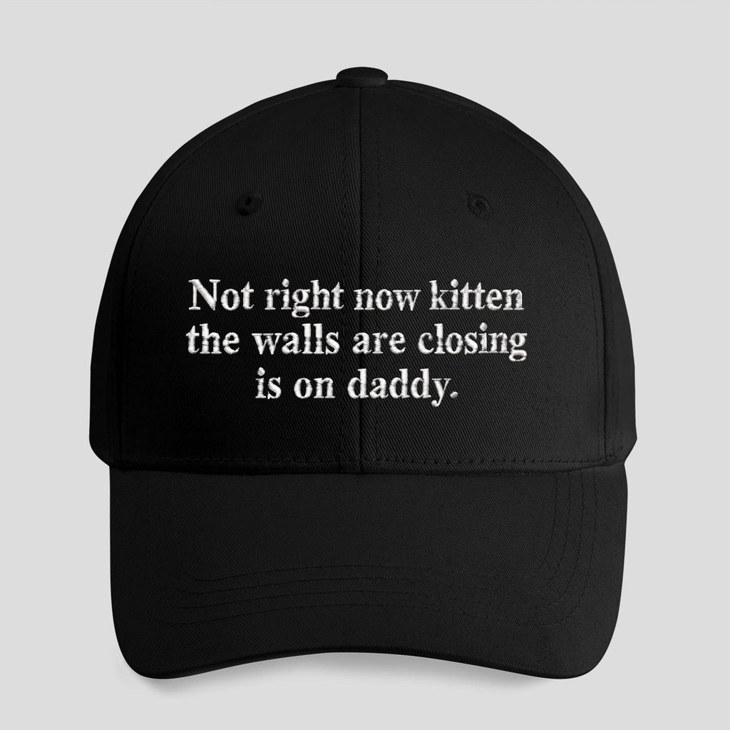Not Right Now Kitten The Walls Are Closing Is On Daddy Hat