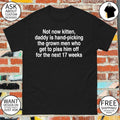 Not now kitten daddy is hand-picking the grown men who get to piss him off for the next 17 weeks shirt
