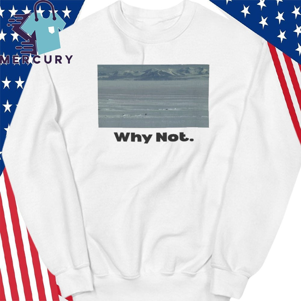 Inspirational Penguin Why Not Photo Graphic Shirt