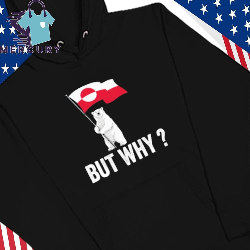 Penguin But Why Head Towards The Mountains Motivational Bear Shirt