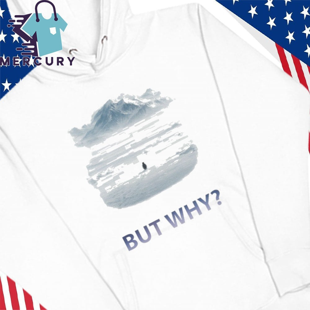 Viral Penguin & Mountain Motivational But Why Shirt