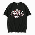 Original Arkansas Razorbacks 2026 Womens College World Series Tee Tshirts Jpg