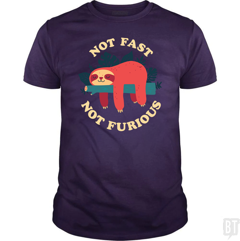 Funny Sloth Not Fast Not Furious