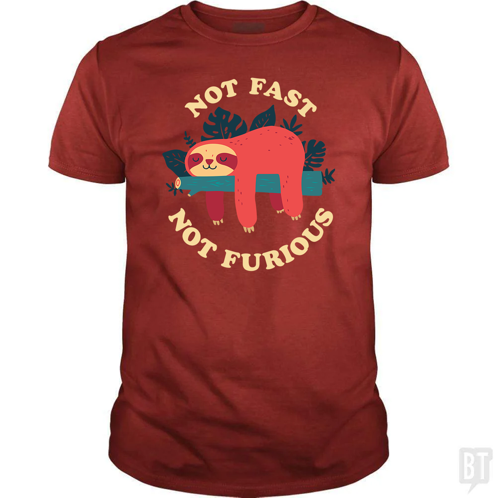 Funny Sloth Not Fast Not Furious