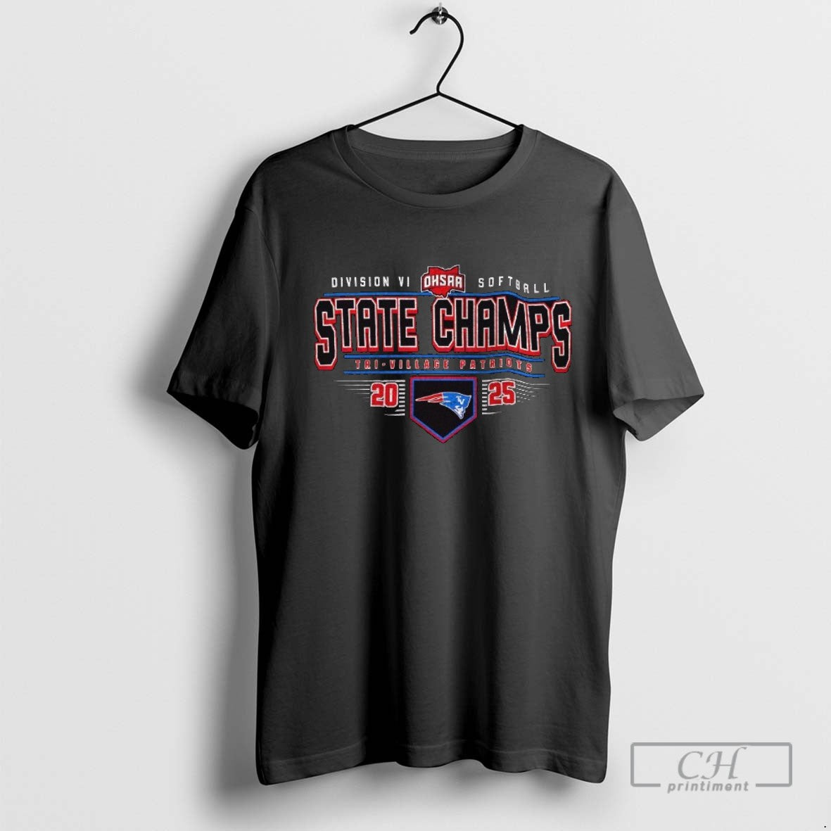 Tri Village Patriots 2025 Ohsaa Softball D6 State Champions