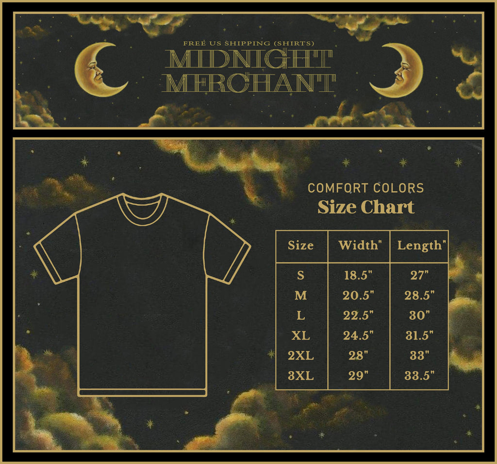 Tv Girl Ca Comfort Colors Really Cares Album Tee Indie Band Tee Cat Cat Lover (3)