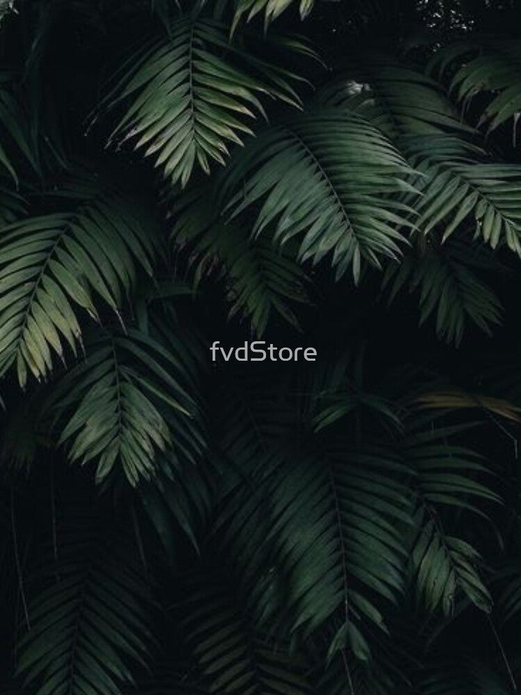 Aesthetic Design by fvdStore