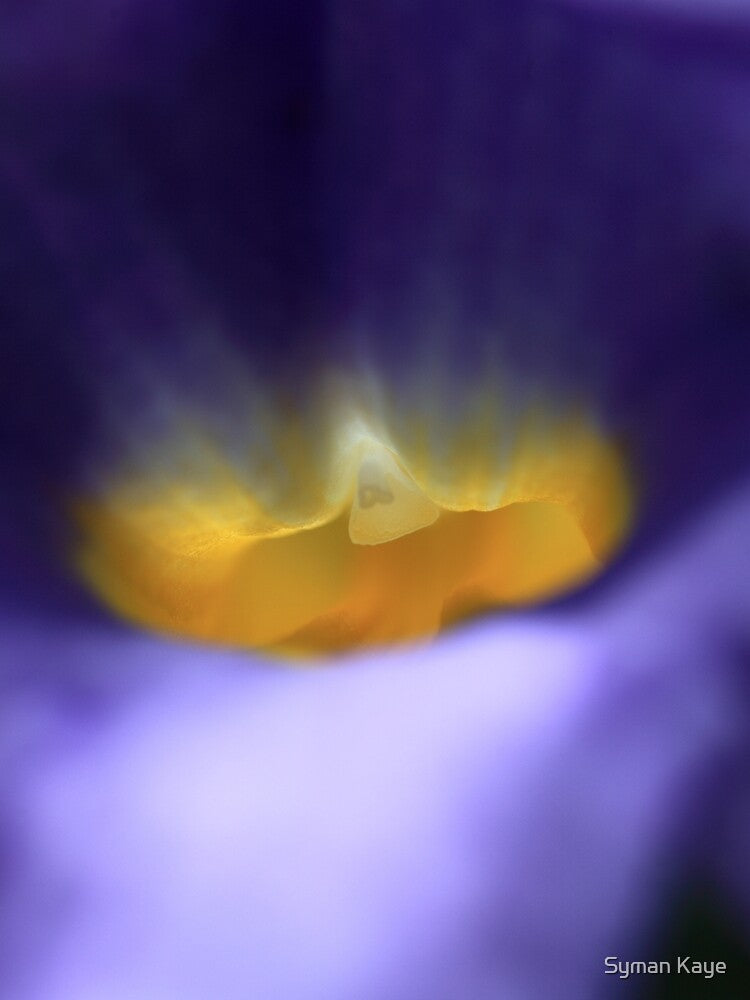 Flower Print - Purple and Yellow Flower - Bold Abstract Flower Print by Syman Kaye