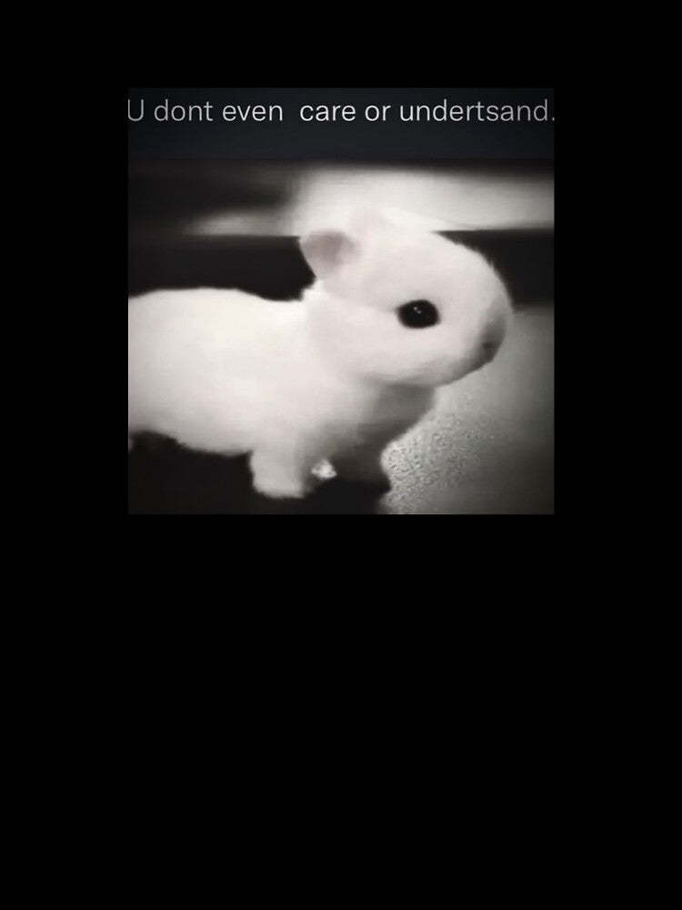 U dont even care or understand meme bunny rabbit funny coquette by bubbleiel