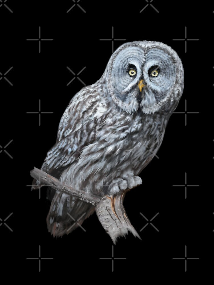 Great grey owl by illustra-terra
