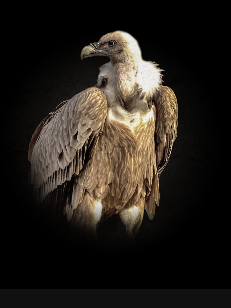Vulture by Guardi71