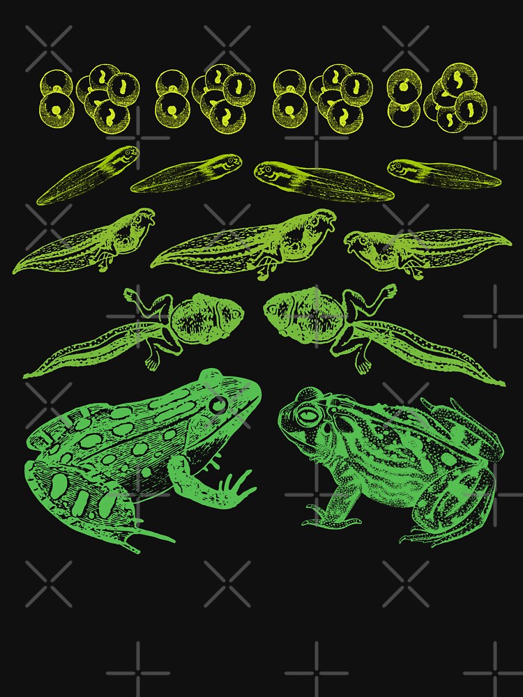 Vintage Frog Tadpole Life Cycle: A Gremlincore Goblincore Design for Biology Teachers, Nature Students and Amphibian Art Enthusiasts by MinistryOfFrogs