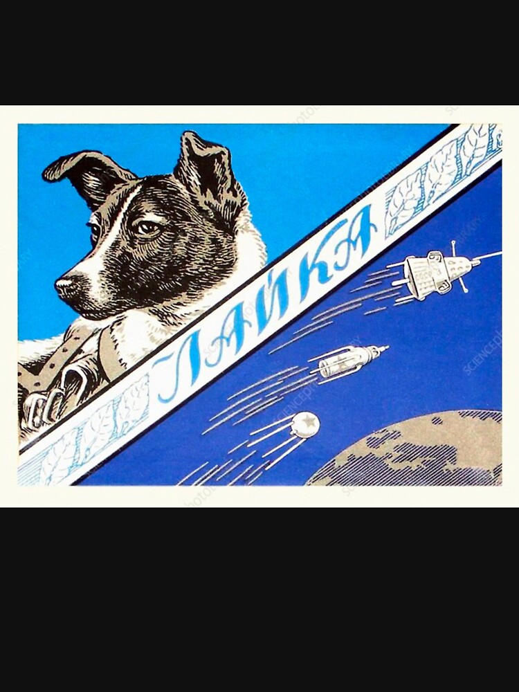 Laika, first space dog — Soviet vintage space by Designandlove