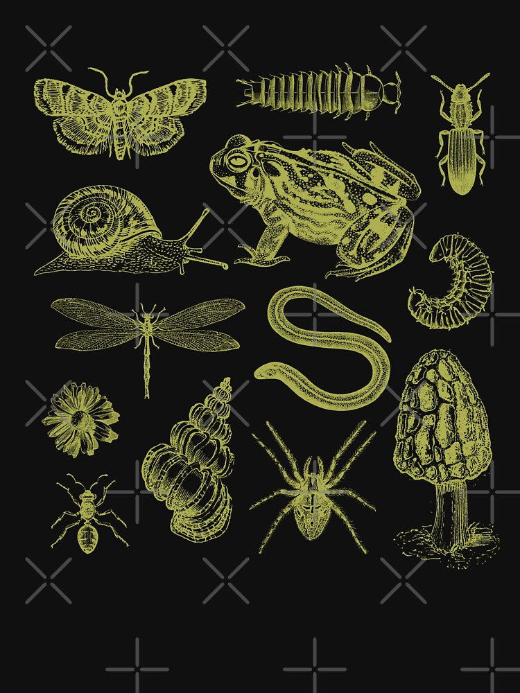 Vintage Biology Nature Lover's Collection: Frog, Mushroom, Snail, and Moth Insects in a Science and Natural History Collage by MinistryOfFrogs