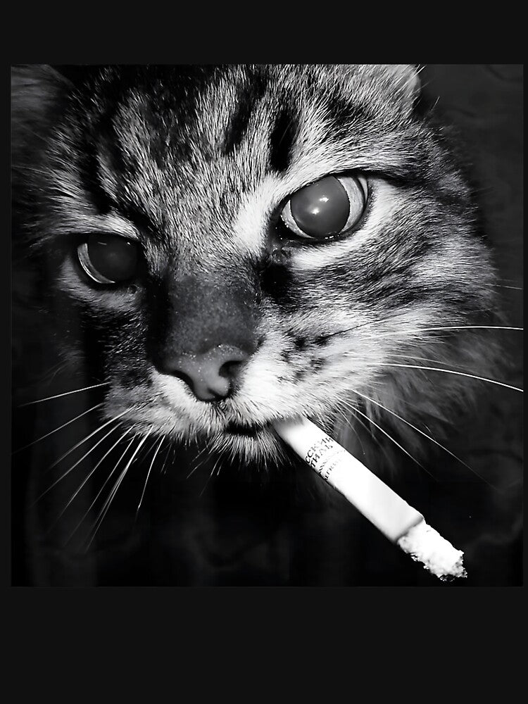 Cat Smoking Meme by BASKF