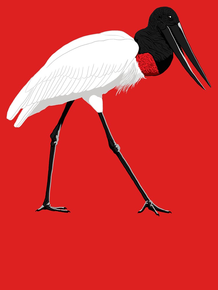 Jabiru by BennuBirdy