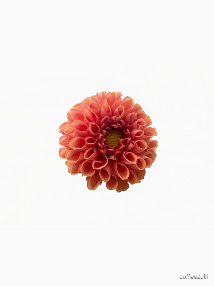 pink flower photography by coffeespill