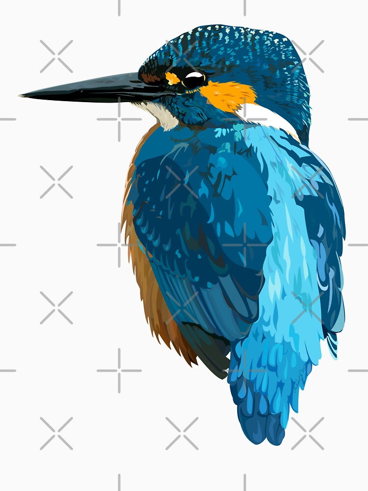 Kingfisher by jash