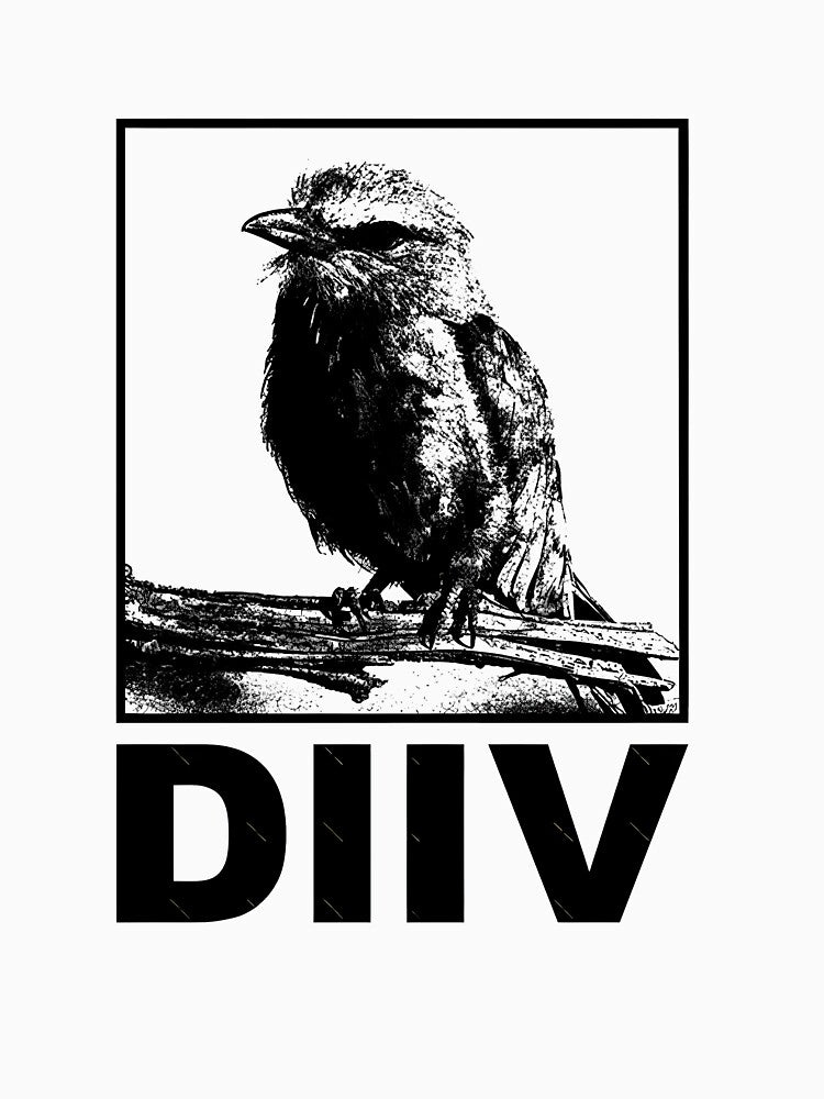 Diiv Band by Pizarro Joel