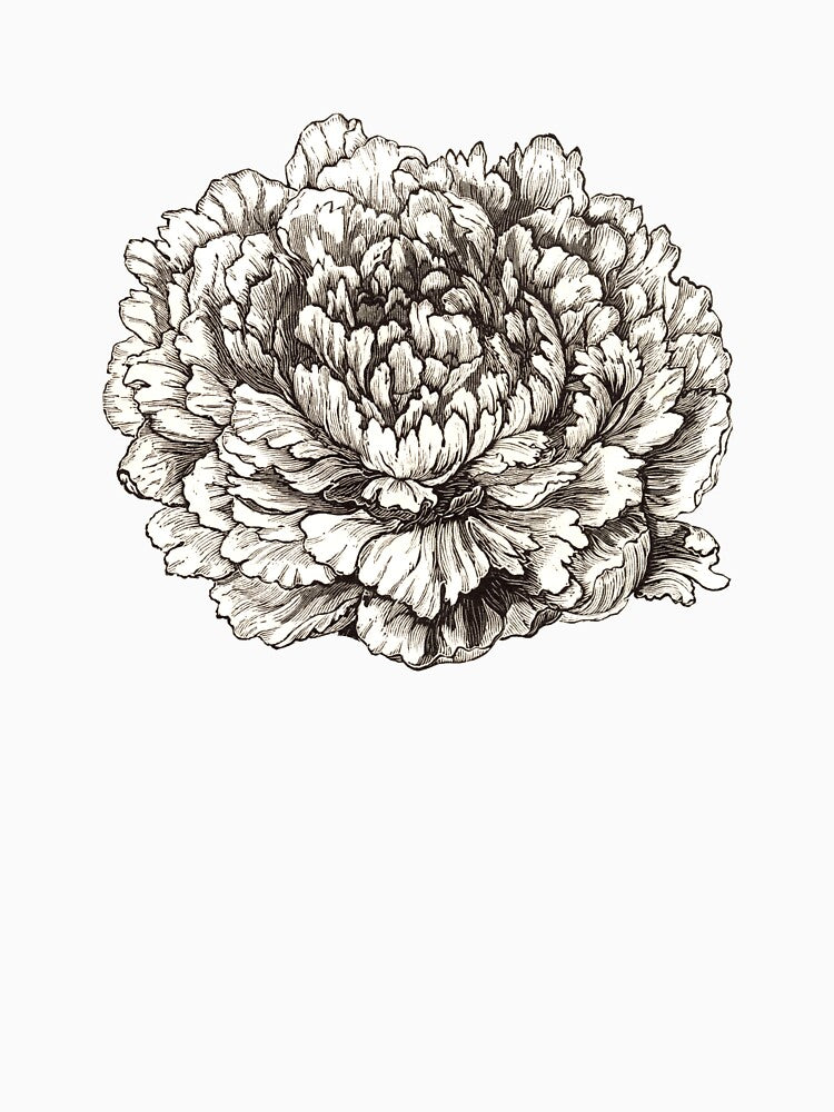 Vintage Peony Illustration, Vintage Flower by HawthorneFlame