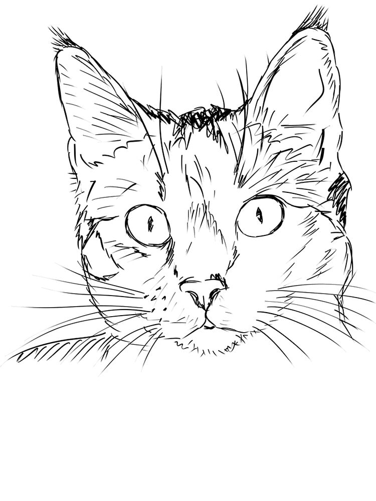 Cat Drawing - Cute Cat Sketch - Cat Art - Cat Face by Galvanized