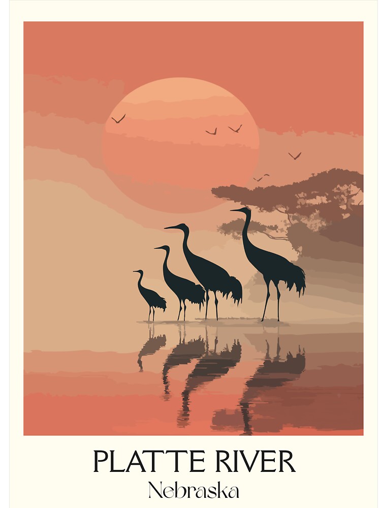 Platte River Nebraska Vintage Poster | Sandhill Crane Migration Art Print | Bird Watching Decor by TuncGK