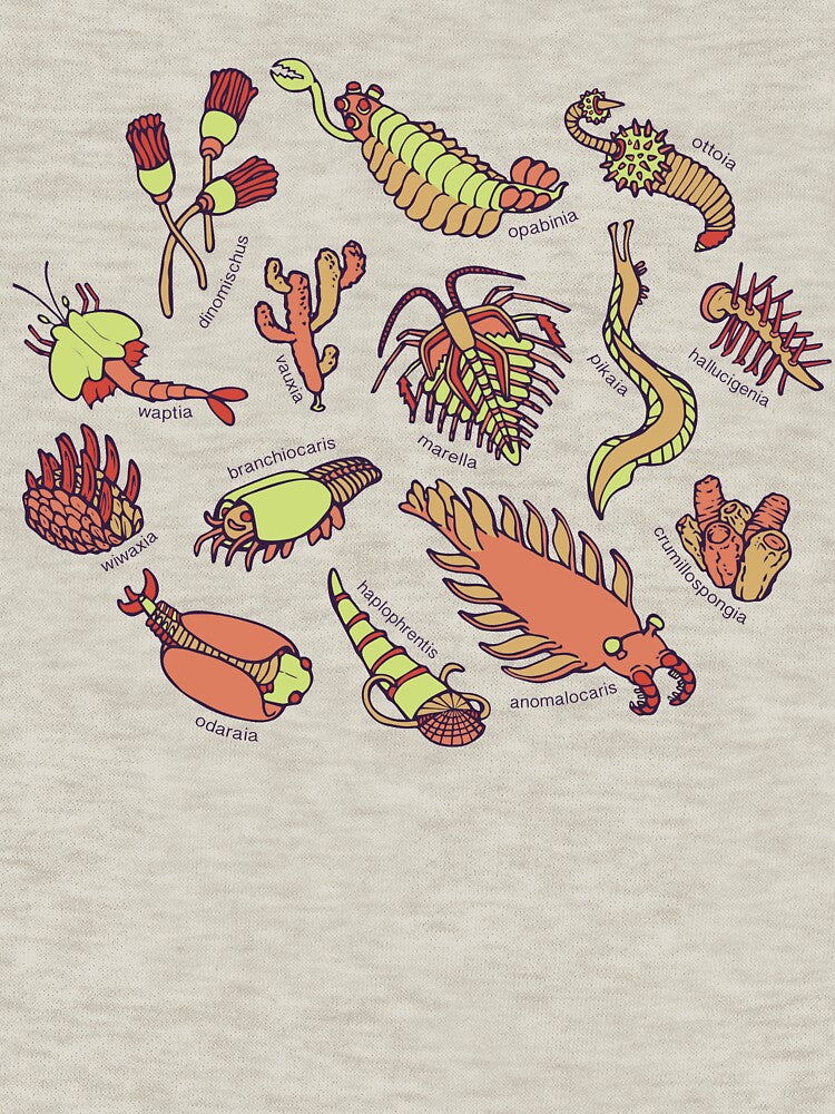 Cambrian Critters by softbiology