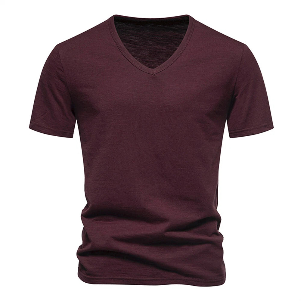 Men's Short Sleeve Fashion T-Shirt Classic Casual Slim V-neck Shirts