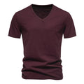 Men's Short Sleeve Fashion T-Shirt Classic Casual Slim V-neck Shirts