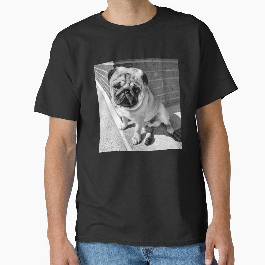 Pug Sunbathing | Dog Lover | Pug Lover | Animal Lover by ce54r