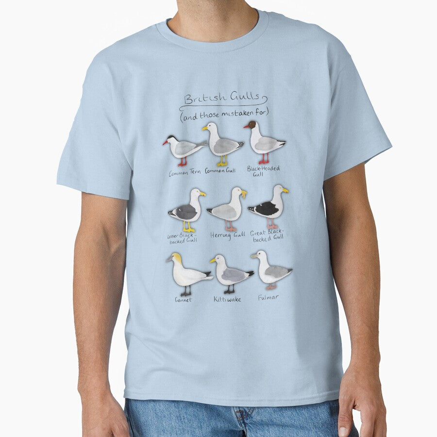 Gull Guide by Elliestrations