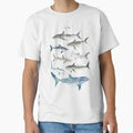 Sharks by Amy Hamilton