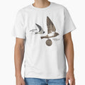 European and African Swallow by Expressman