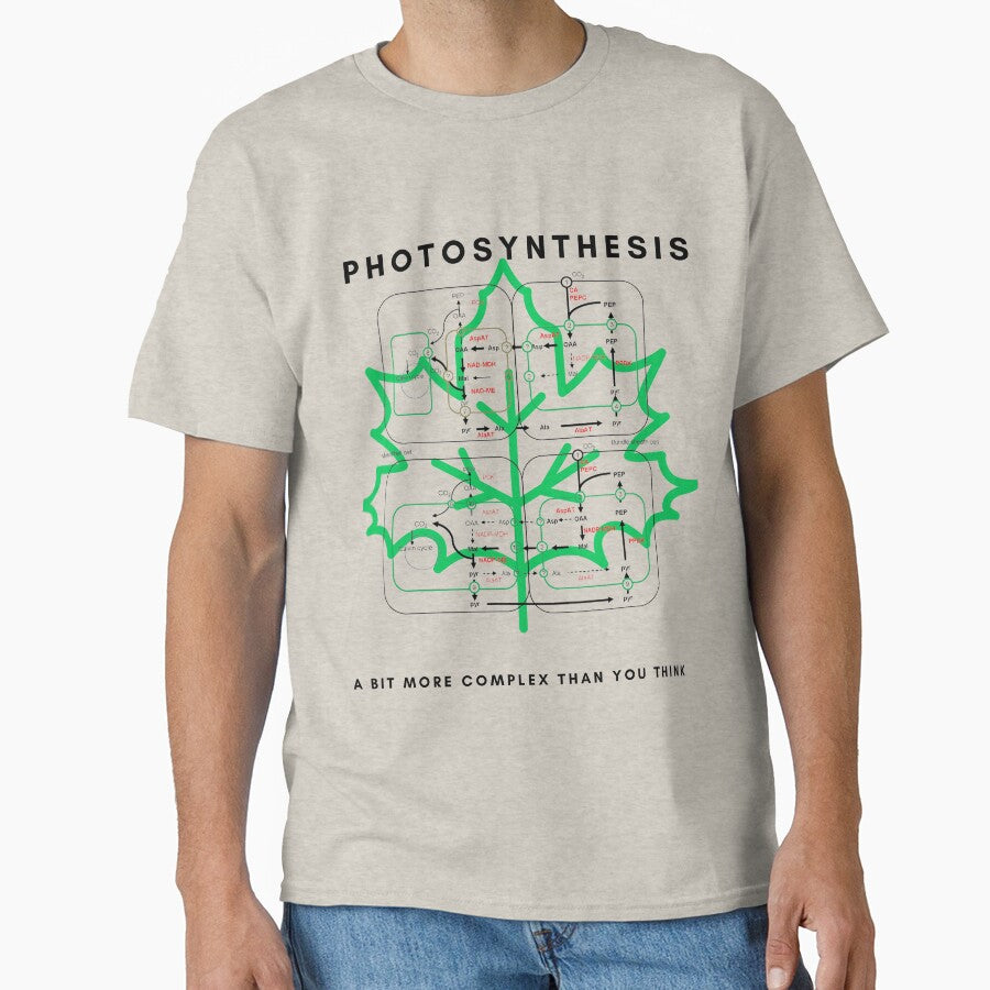 Photosynthesis by sci-alliance