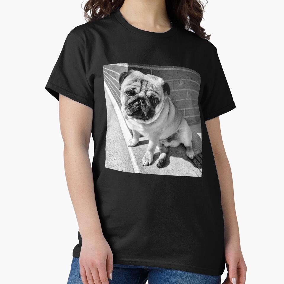 Pug Sunbathing | Dog Lover | Pug Lover | Animal Lover by ce54r