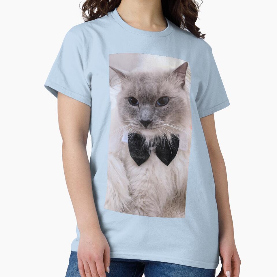 Ragdoll cat by Fluffycat2020