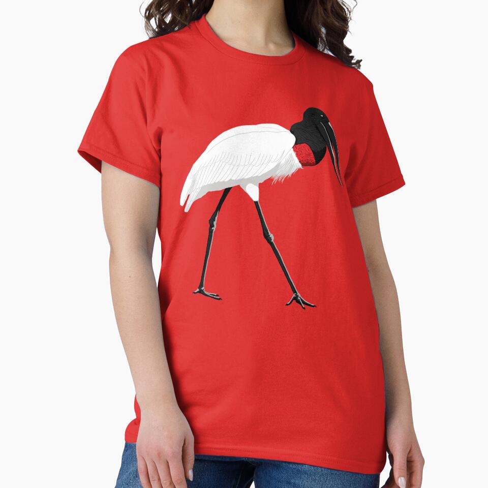 Jabiru by BennuBirdy